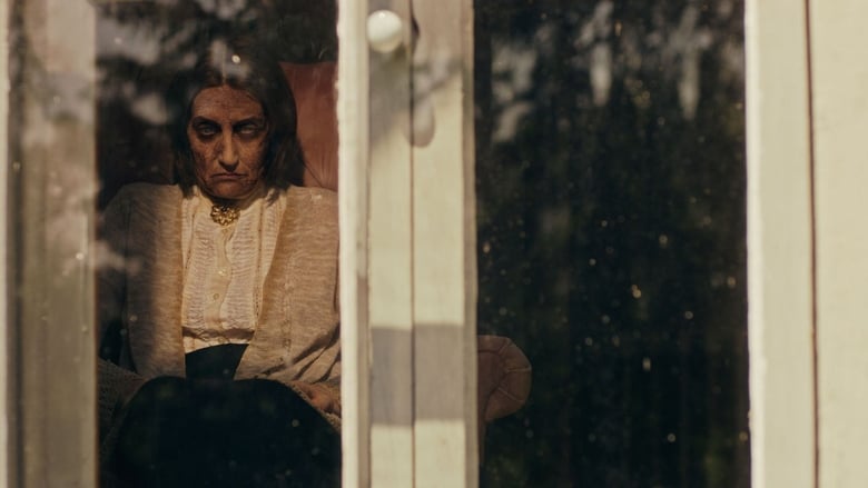 The Witch in the Window (2018) türkçe dublaj izle