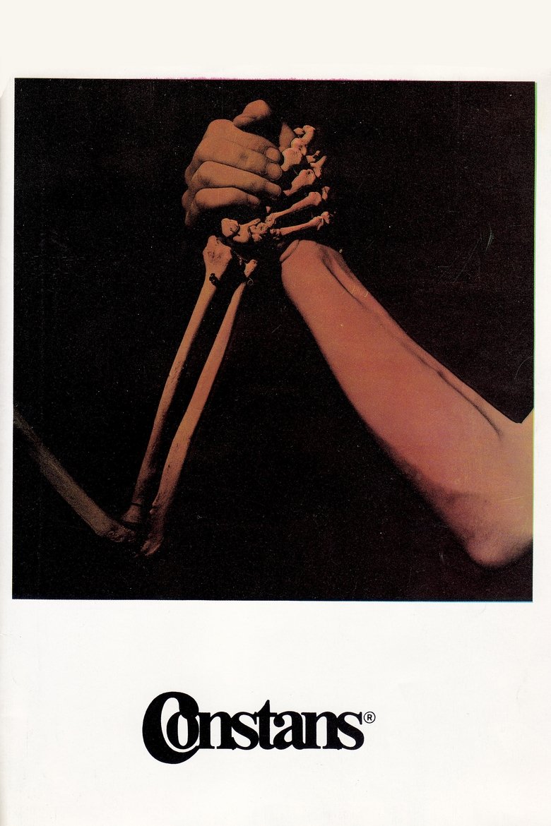 The Constant Factor main poster