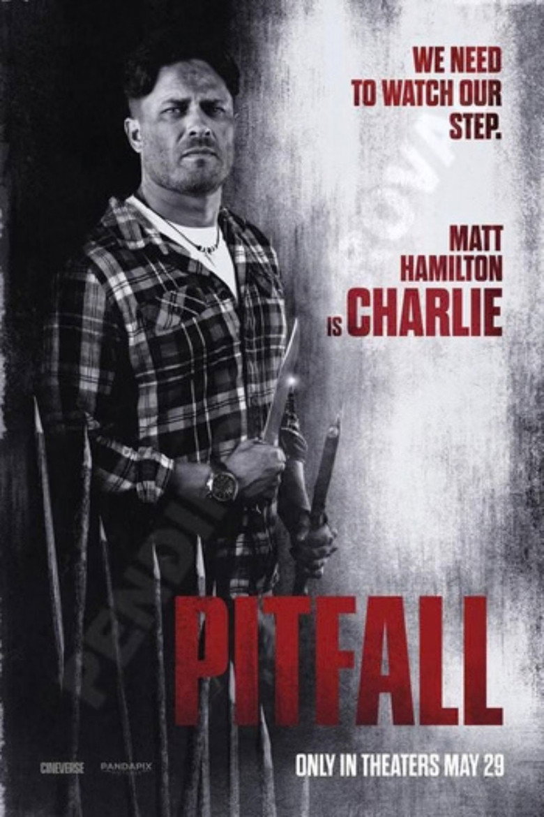 Póster la Película