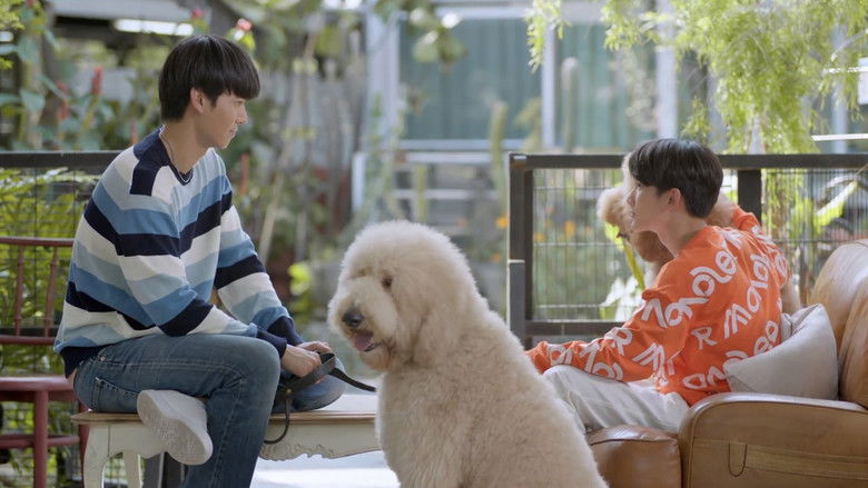 Still image for Be Mine SuperStar season 1 episode 5: Episode 5 Still image for Be Mine SuperStar season 1 episode 5: Episode 5