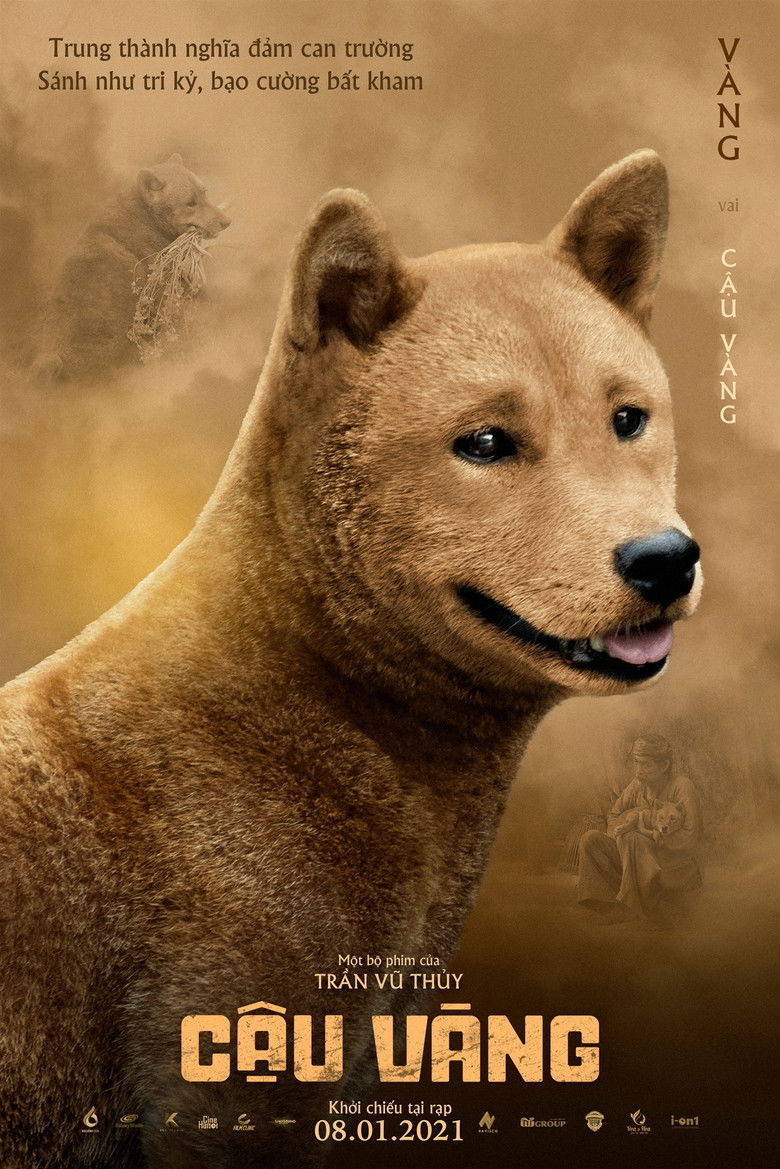 Imatge de Cậu Vàng