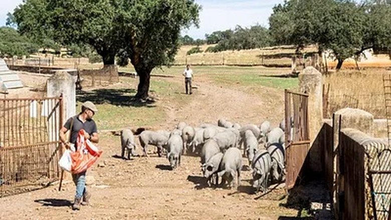 Still image for Abenteuer Spanien season 1 episode 4: Episode 4