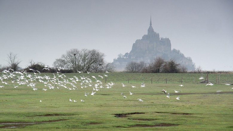 Mont Saint-Michel : le labyrinthe de l’archange movie poster