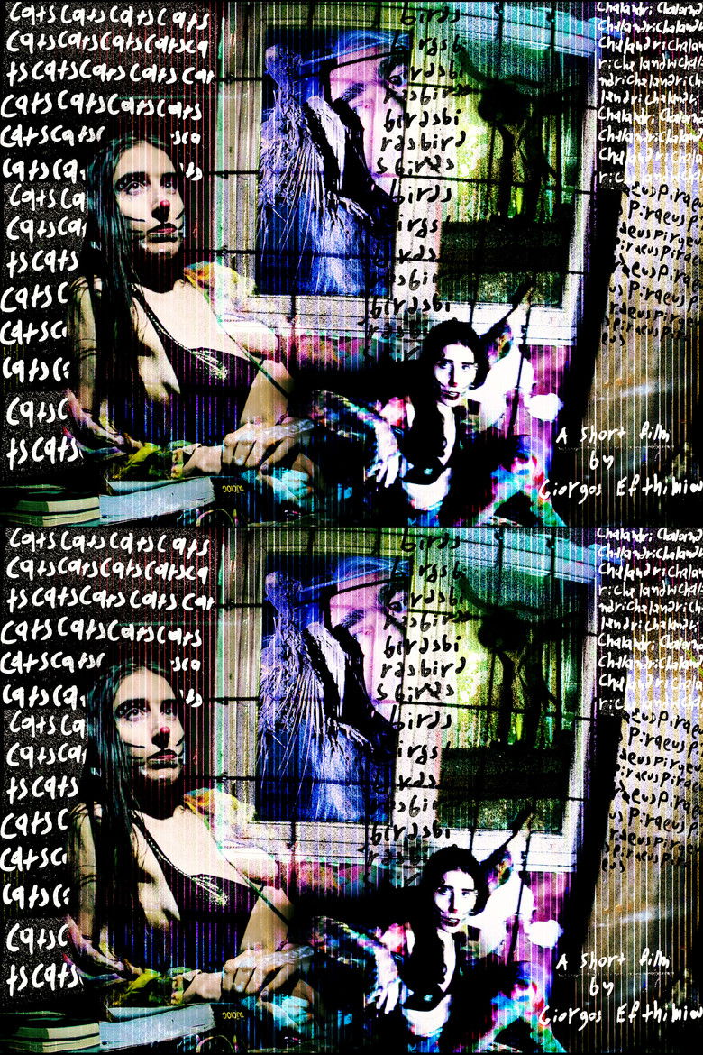 Imatge de Cats, Birds, Chalandri, Piraeus