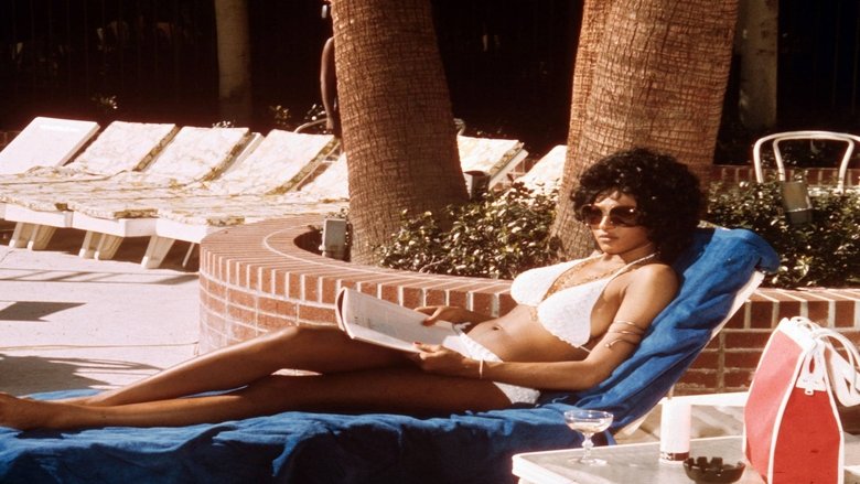 Coffy (1973)