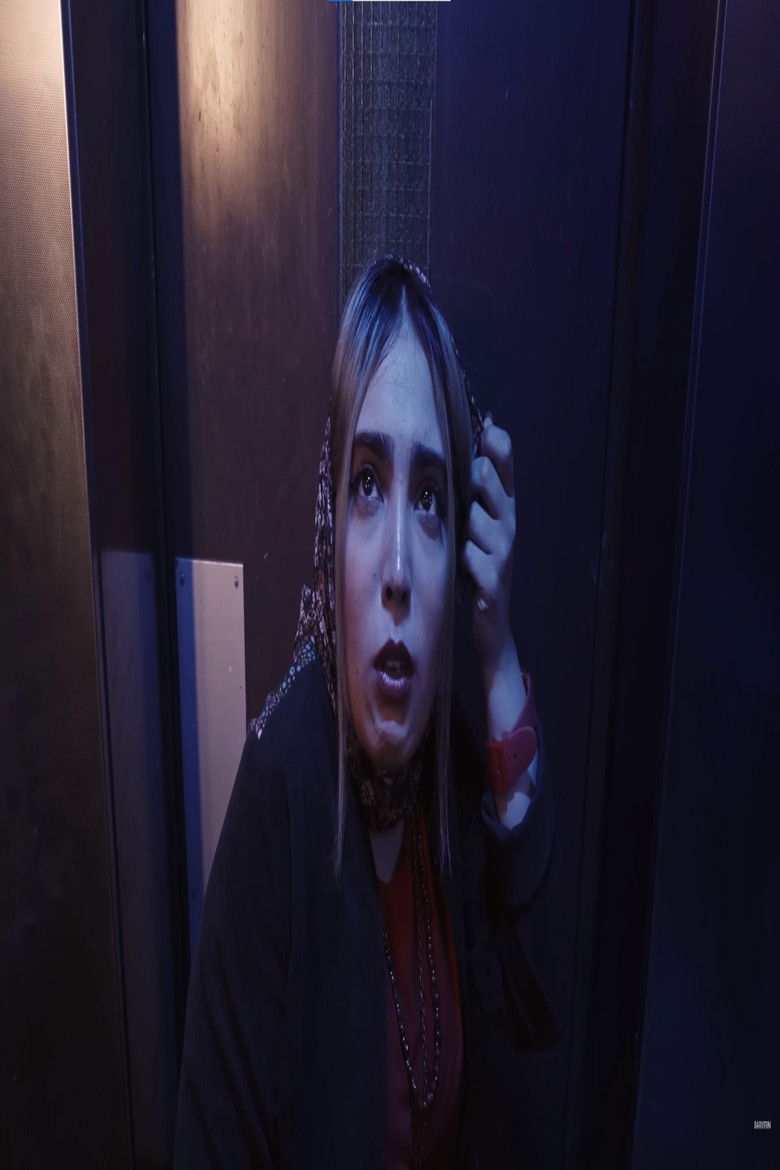 Imatge de The Elevator