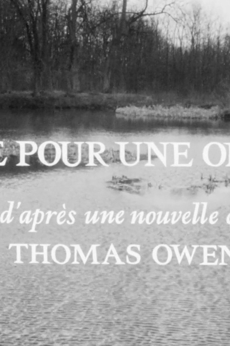 Pitié pour une ombre