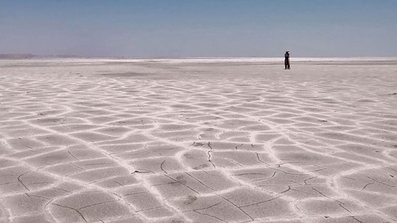 Gallery image from o7ZWvV477xaMVyUfJe7aghHbXLR.jpg