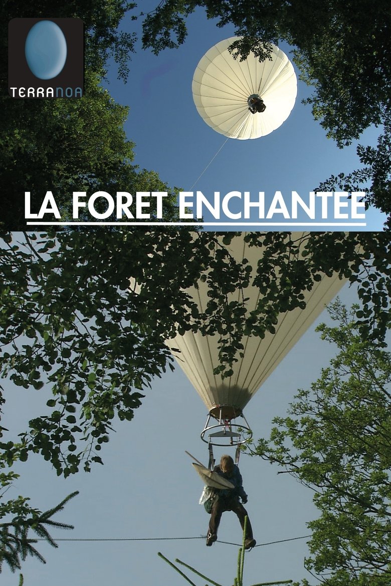 The Enchanted Forest main poster