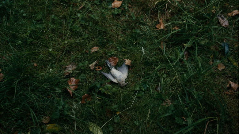 Gallery image from o7t5usKt4ojOH5lqqUZ1YABPnxc.jpg