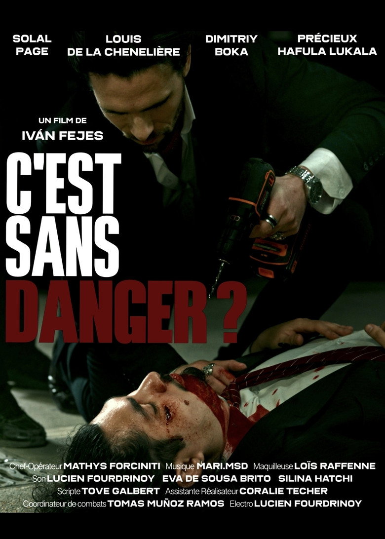 Imatge de C'est sans danger ?