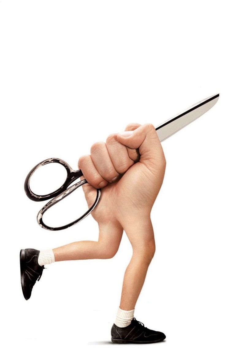 Imatge de Retalls de la meva vida