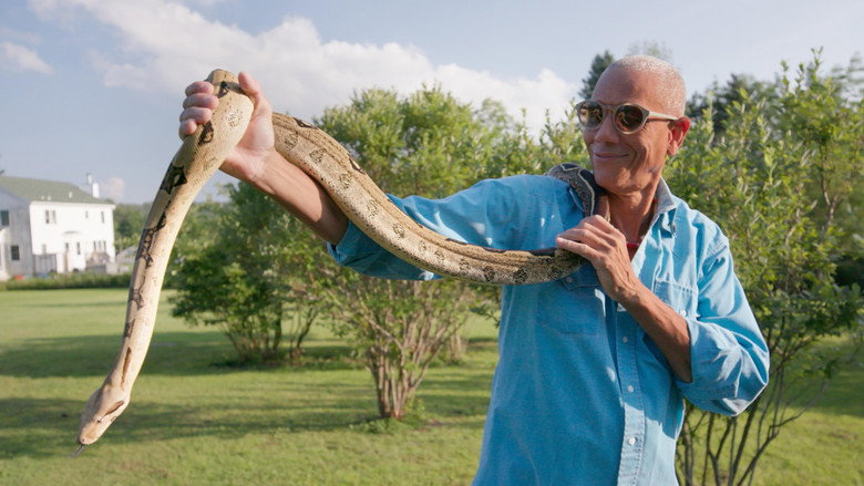 Head of the Snake