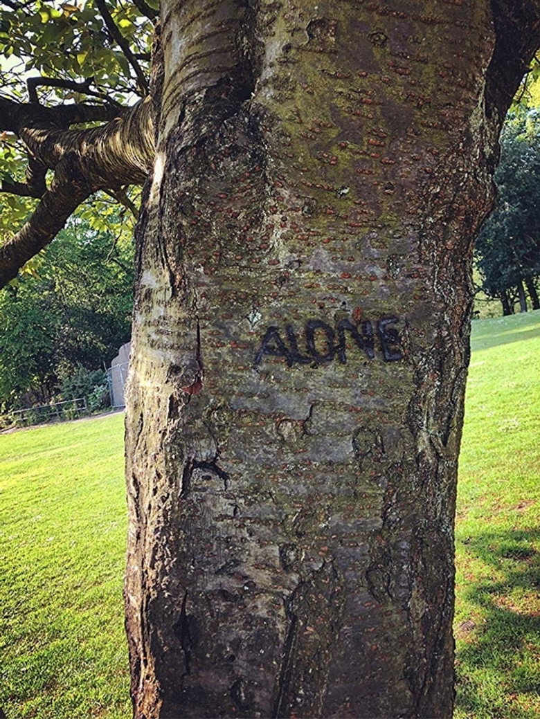 Affiche ou illustration — Alone