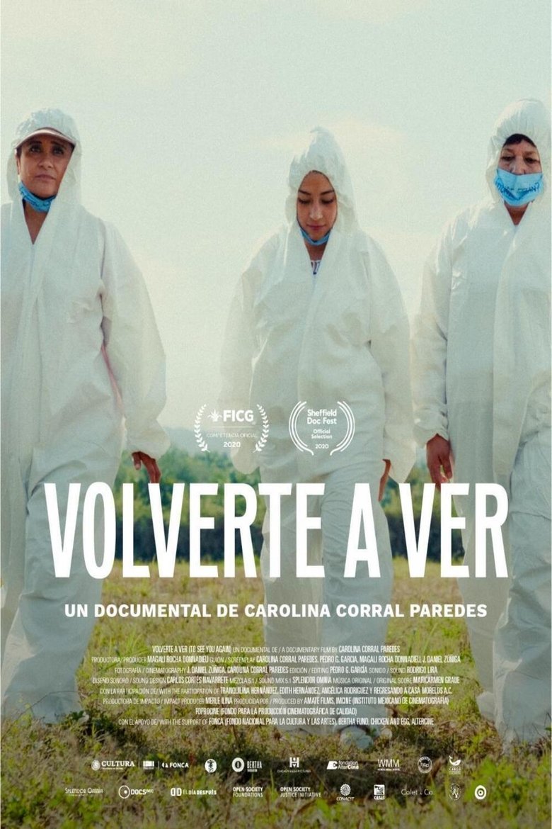 Volverte a ver (2020)