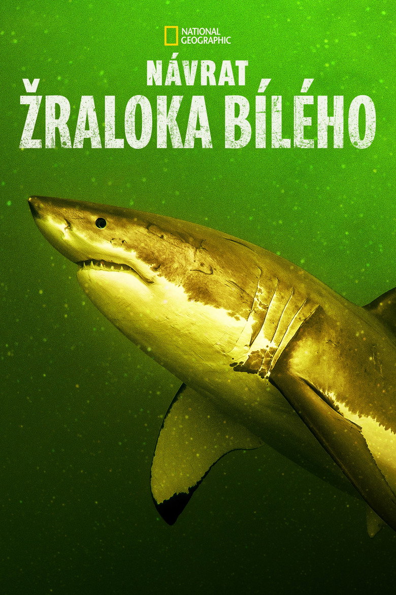 Plakát k filmu Return of the White Shark
