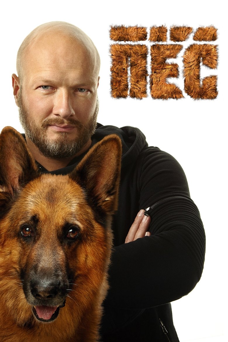 Dog poster