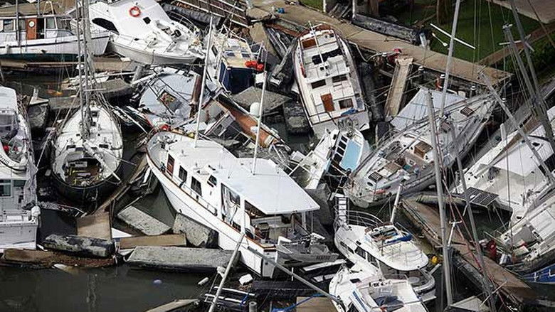 Still image for The Year The Earth Went Wild season 1 episode 1: 2011 Still image for The Year The Earth Went Wild season 1 episode 1: 2011