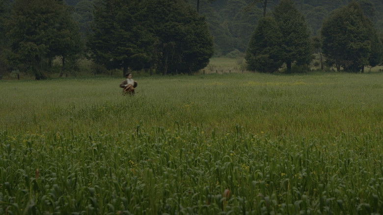 Image d'arrière-plan 2 du film Para atrapar el viento