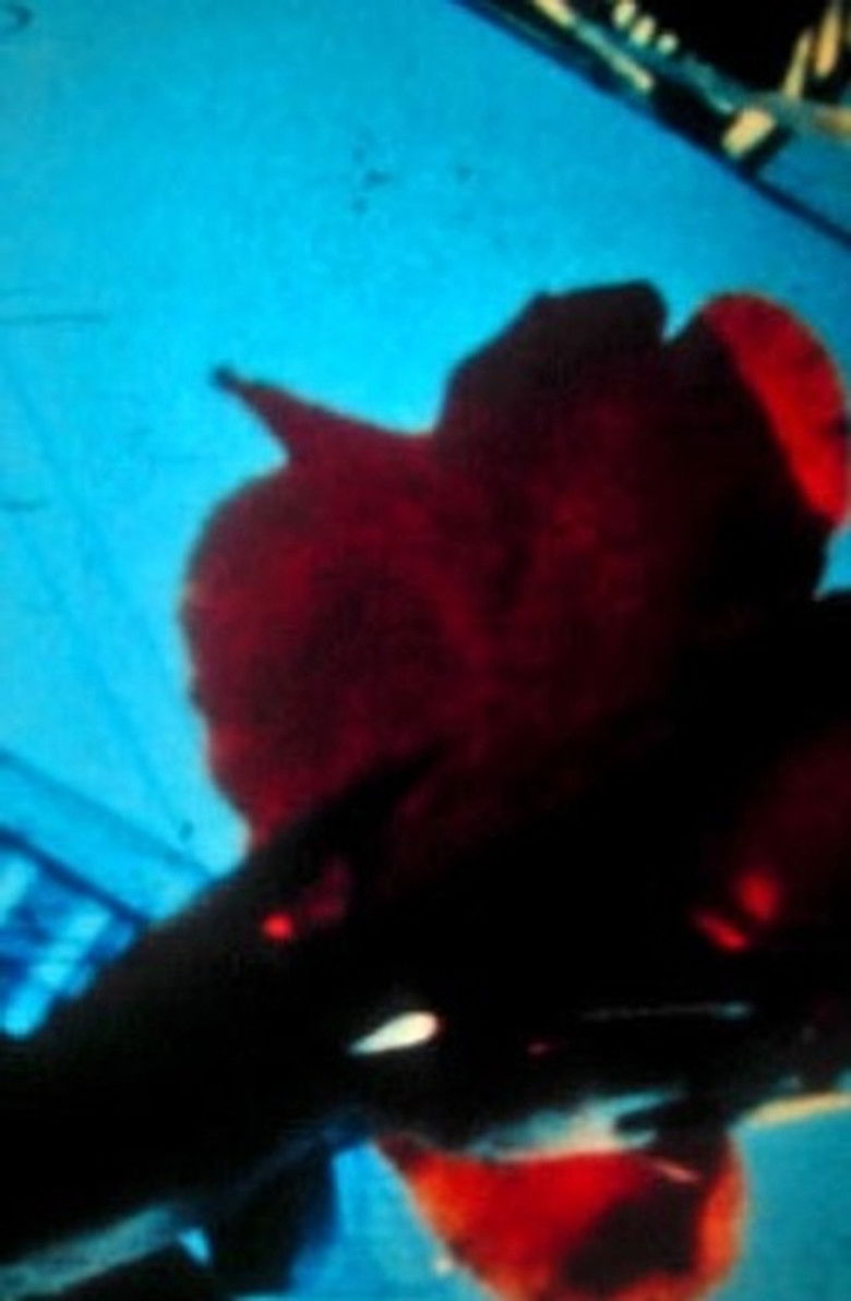 Imatge de All That Rises