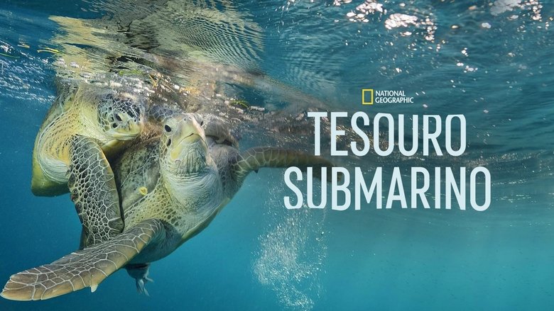 Sea of Hope: America's Underwater Treasures (2017)