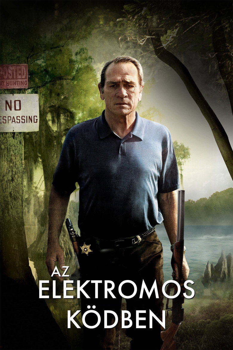 Az elektromos k&ouml;dben (2009)