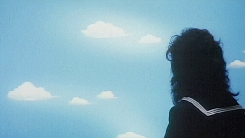 Film backdrop