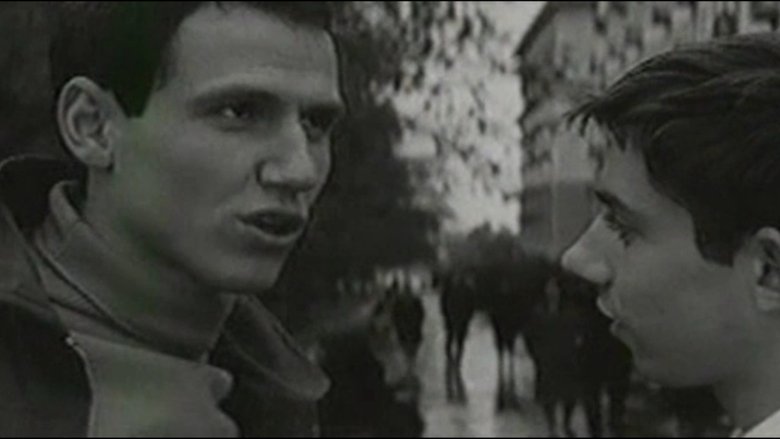 Gallery image from oDlM8SOck4nixfSAal9esUMCQEJ.jpg