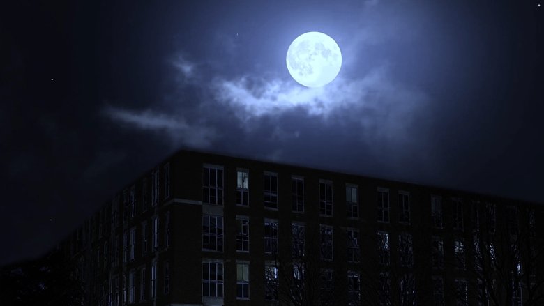 Gallery image from oFK43d8Y7eFIWtpRy4TyMnm2VrN.jpg