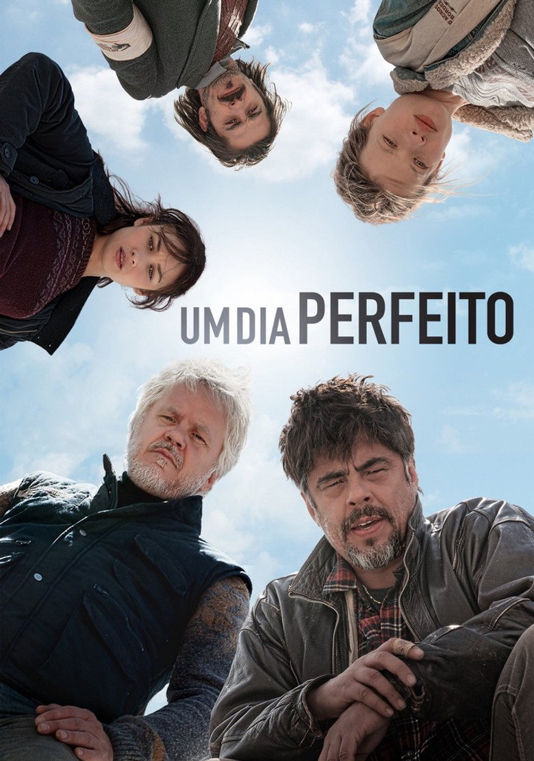 Um Dia Perfeito