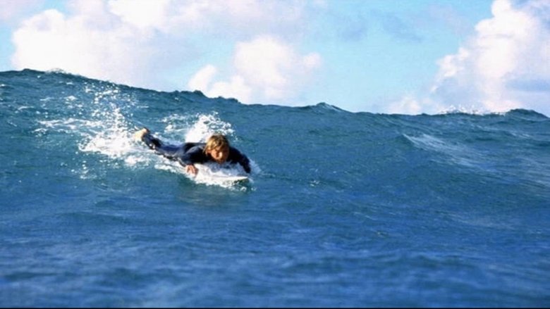 Point Break (1991)