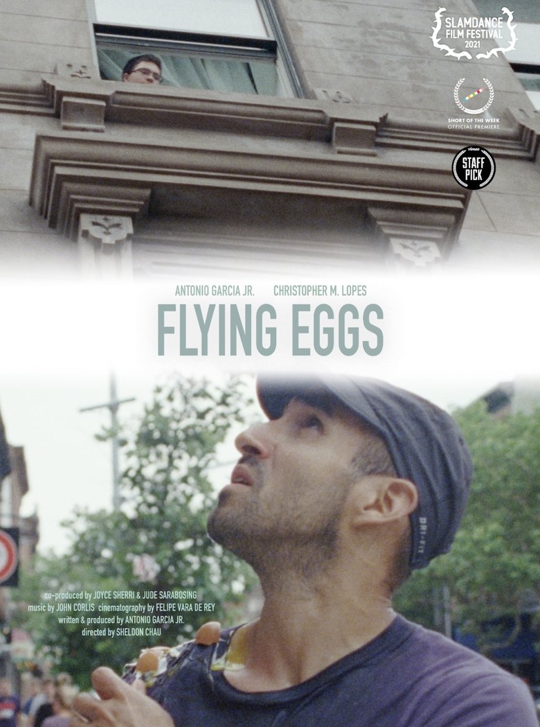 Flying Eggs main poster