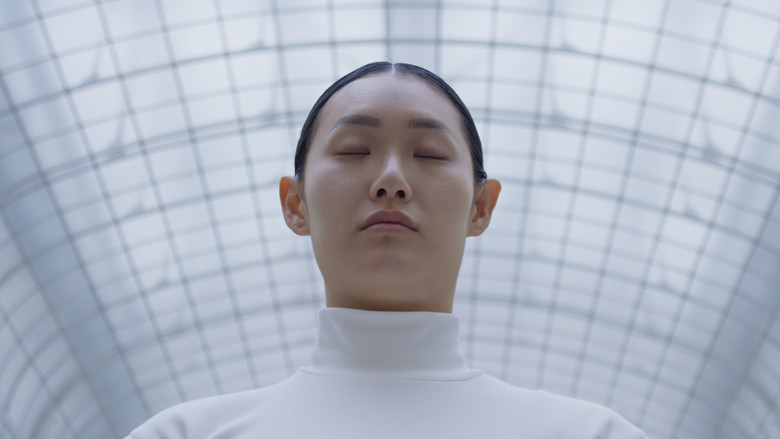 Imatge de Memory of a Mycelium