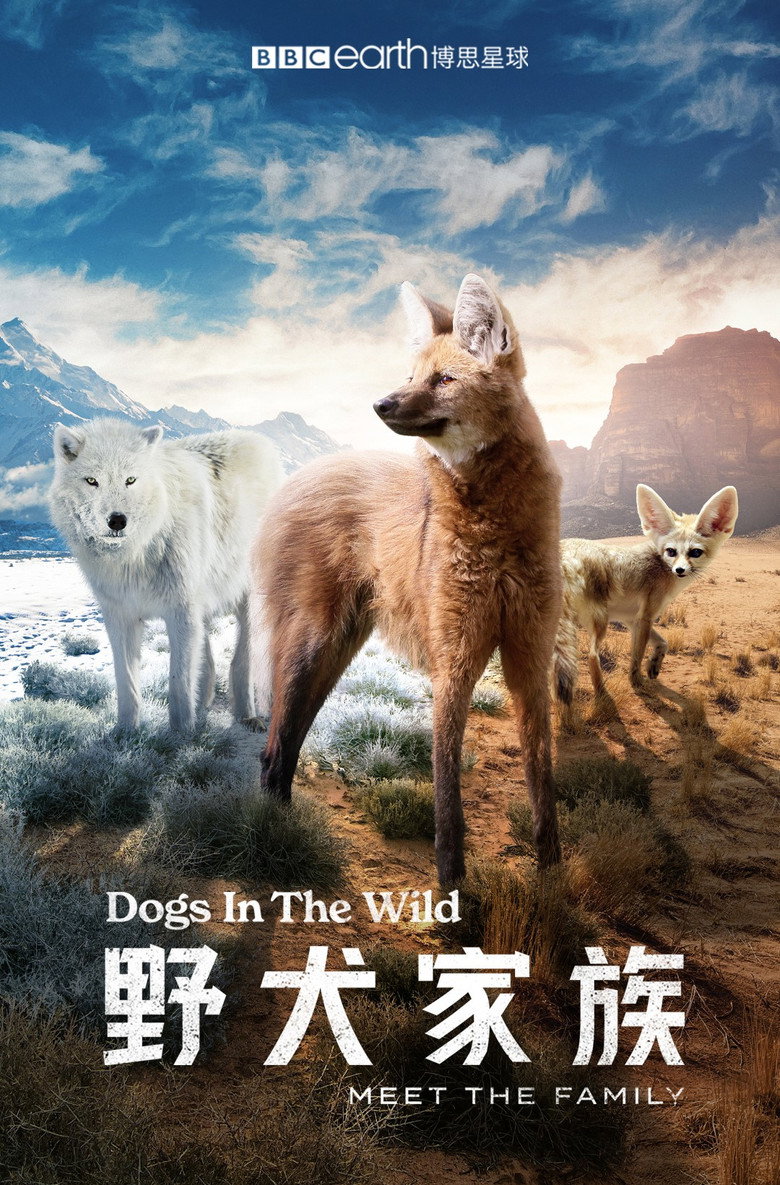 野犬家族 (2022)-光鸭·臻影社