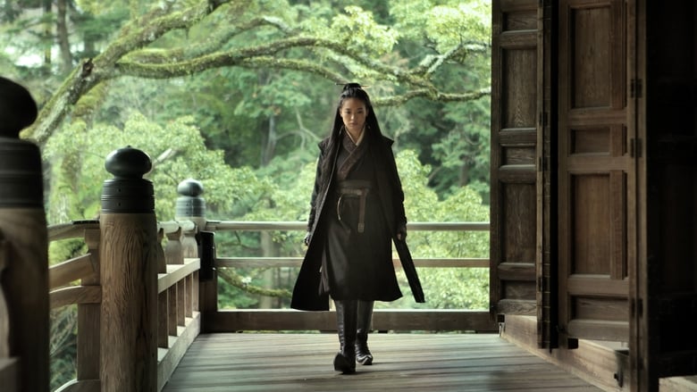 The Assassin (2015) Korea Derma Download Mp4 English Subbed
