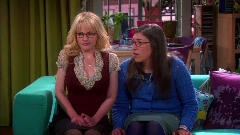 Watch The Big Bang Theory Season 6 Episode 6 - The Extract Obliteration ...
