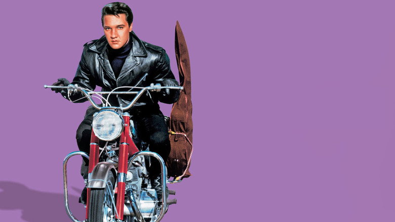 Roustabout image 12