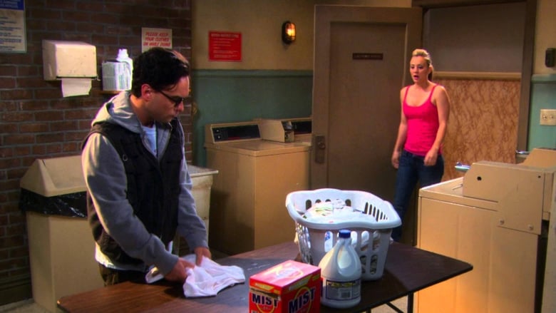 The Big Bang Theory: 3×19