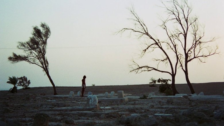 Gallery image from oHvK8rH1yjoaXS75uM9Ioo81vyF.jpg