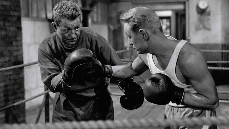 Oj51q27s587perhgciv0ok5cfcj