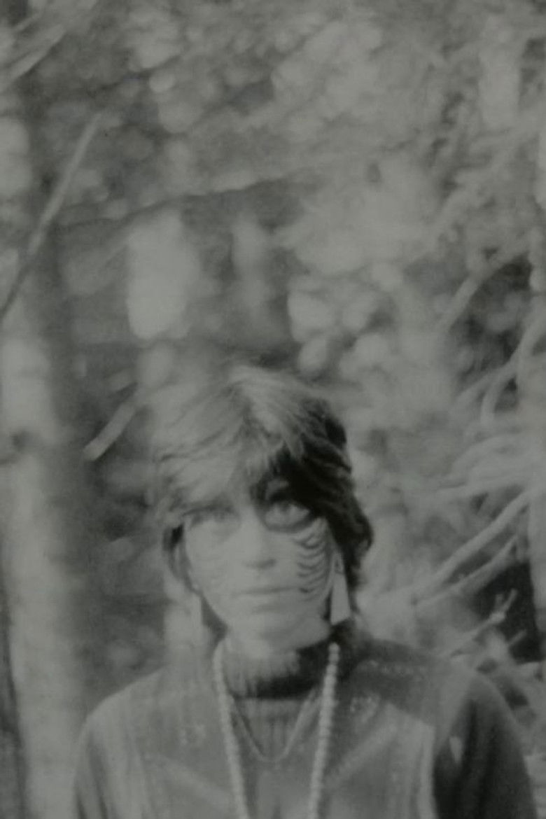 Imatge de Transformations