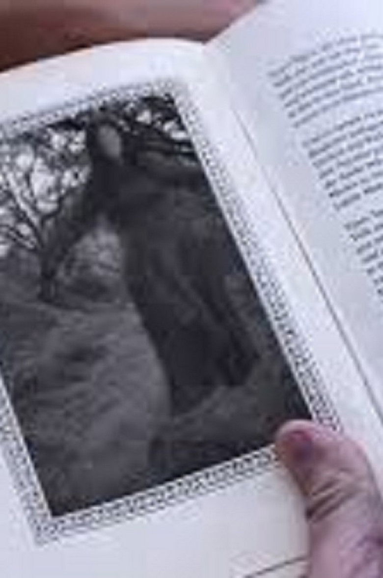 Imatge de Woman in the Book