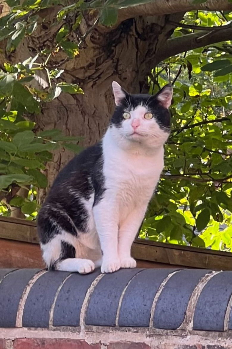 Photo de Sami De Jong