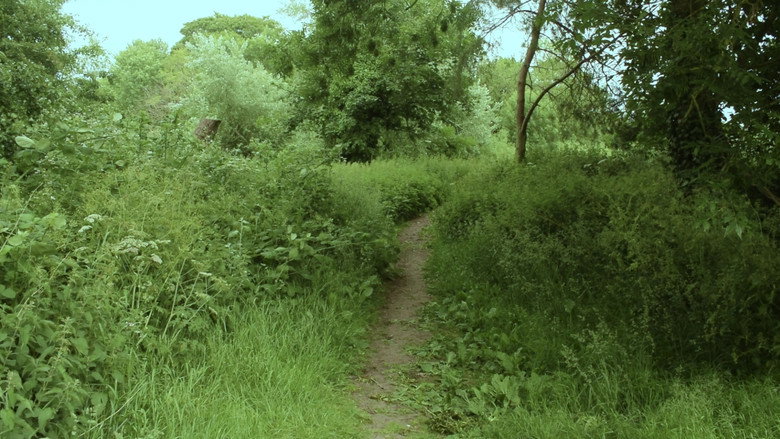 scenes 5
