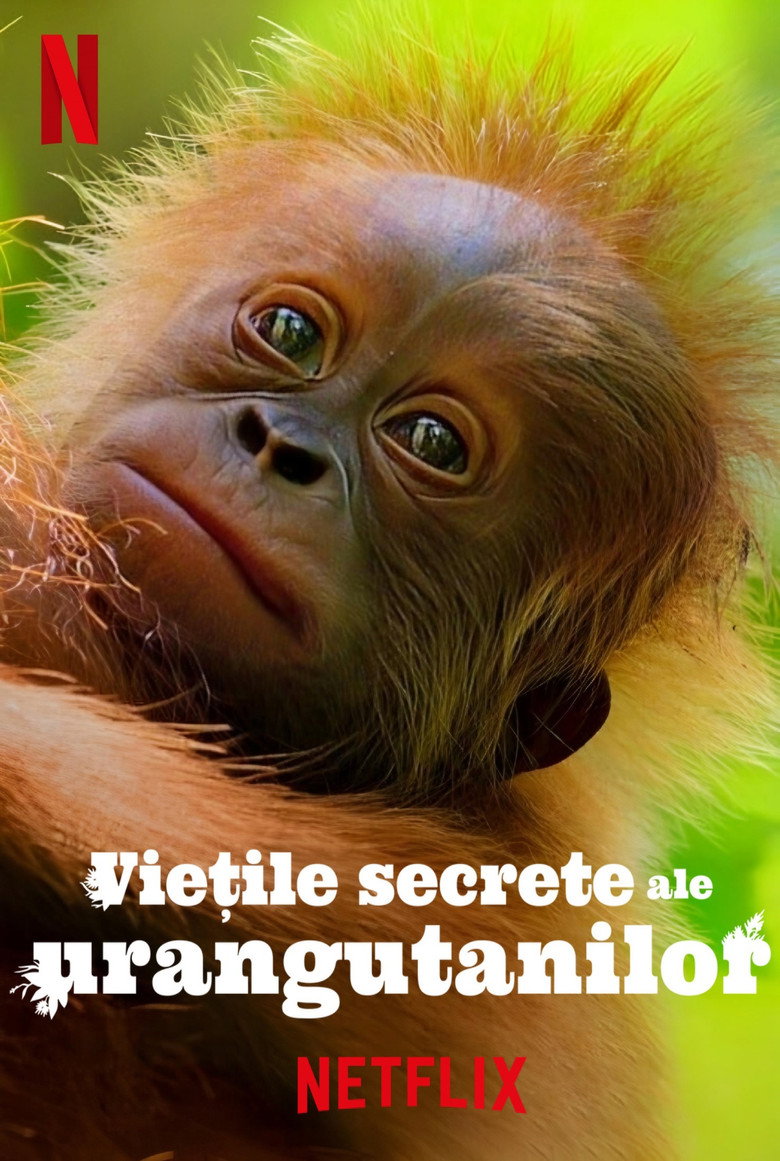 Viețile secrete ale urangutanilor (2024)