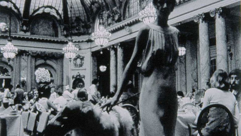 Gallery image from oLH0IF85AkiFHn0IC45JXikGMro.jpg