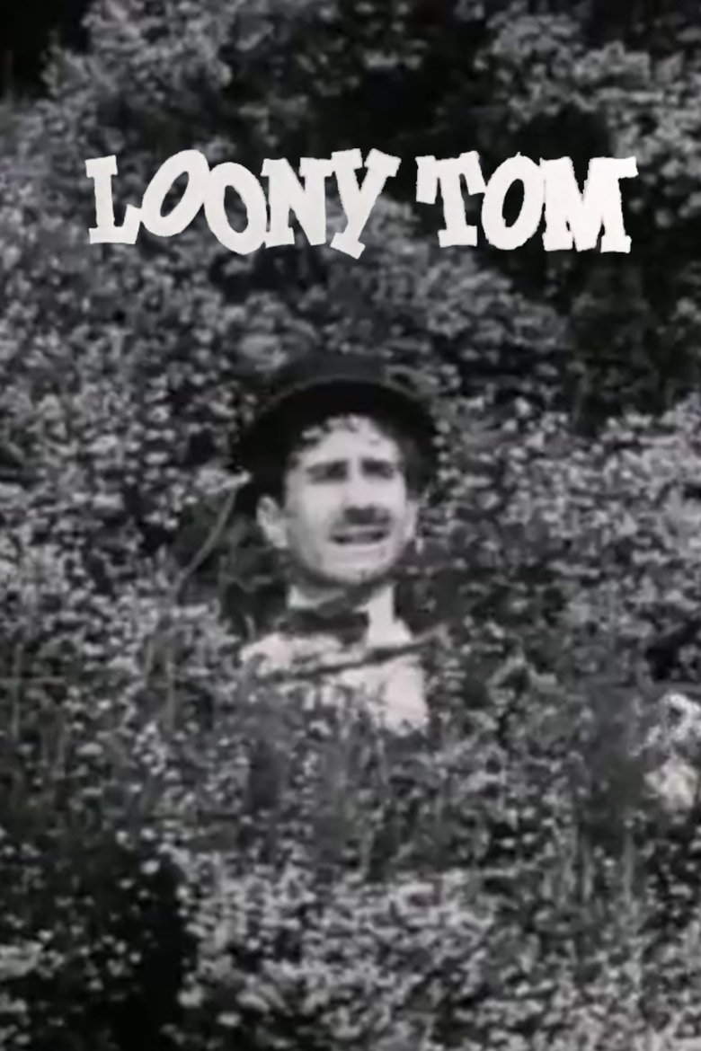 Loony Tom the Happy Lover main poster