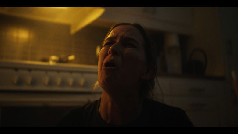 Imatge de Utan Förvarning