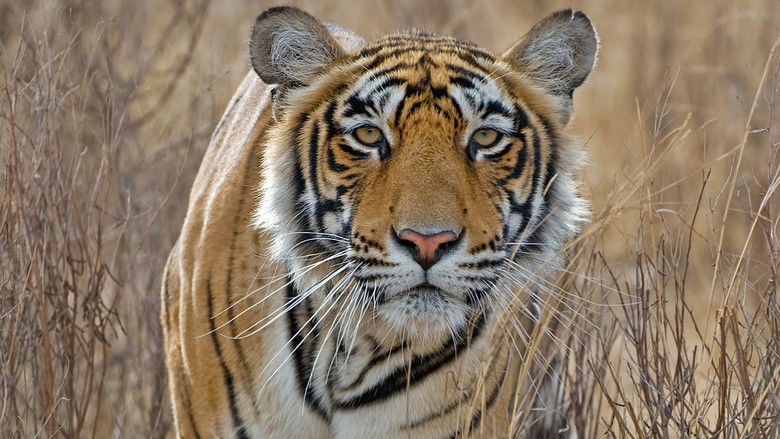 Still image for Deadly Instincts season 1 episode 1: Natural Born Killers