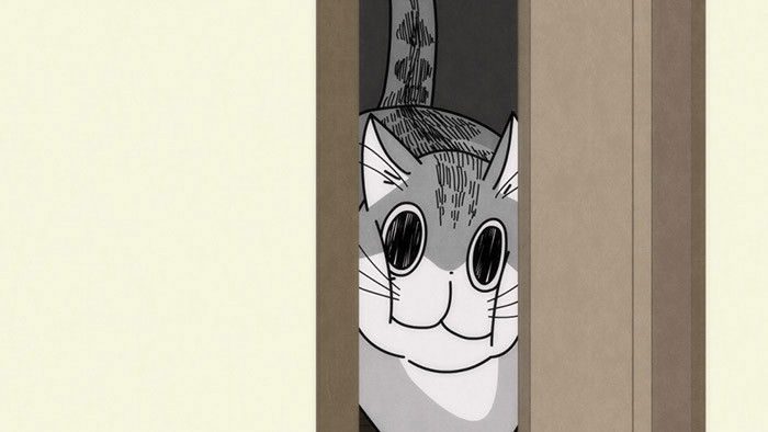 Still image for Nights with a Cat season 1 episode 17: Night 17: Cats Can Pass Through If Their Heads Pass Through
